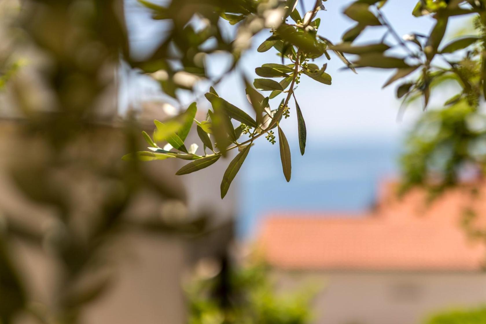 Apartments&rooms with parking space Baska Voda, Makarska - 301 Bagian luar foto